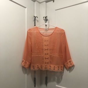 Tobi cropped coral sheer blouse